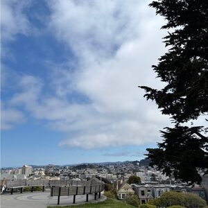 Meet your Posher, Clementine